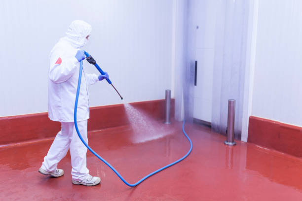 Best Patio and Deck Pressure Washing  in Union, OR